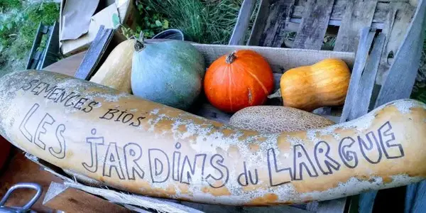 Sylvain Musseri - Les jardins du largue